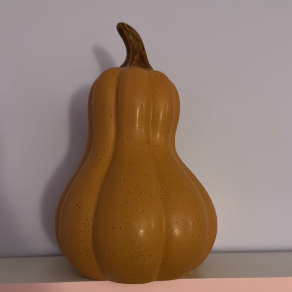 Decorative Orange Gourd